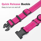 Erbine quick release heavy duty buckle mechanism overview.