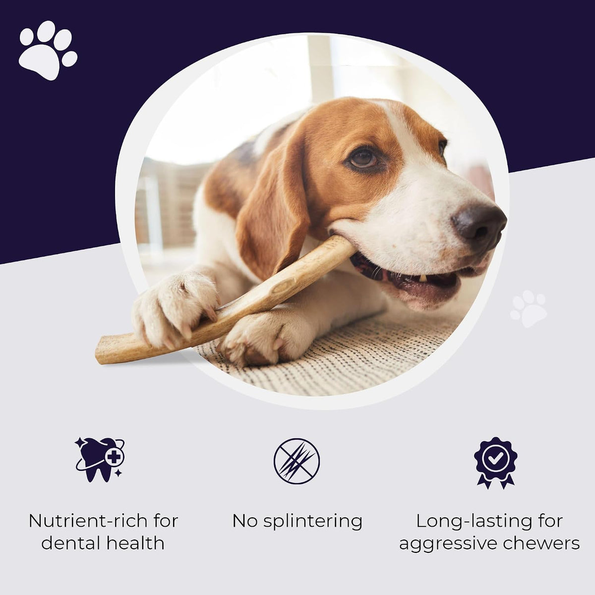 Authentic Devil Dog Pet Co dog chew bone for small to medium breeds dental care benefit