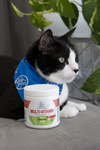 Four Paws cat multivitamin soft chews product label showing feeding directions