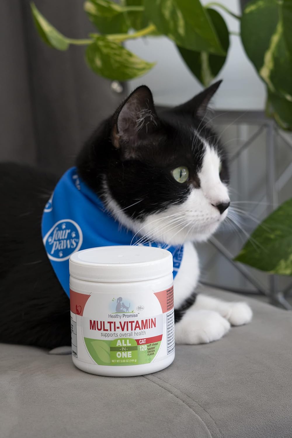 Four Paws cat multivitamin soft chews product label showing feeding directions