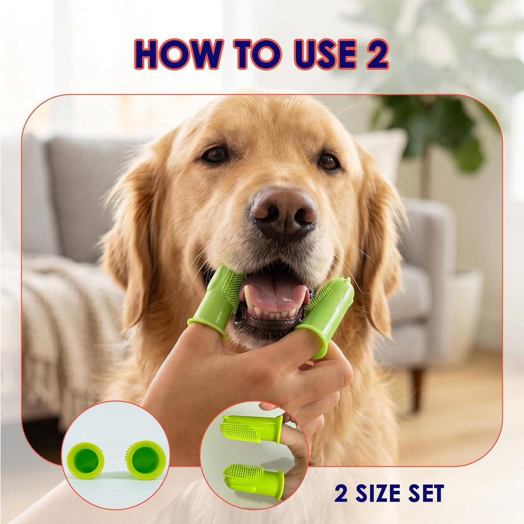 Dog finger toothbrush with protective storage case for hygiene