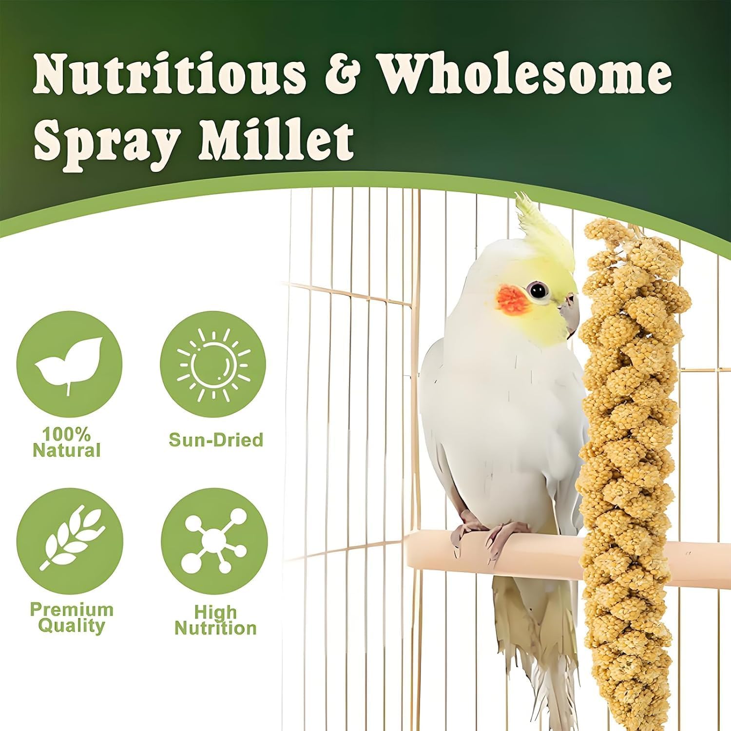 Hand-harvested millet spray treat for parakeets and parrots