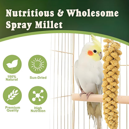 Hand-harvested millet spray treat for parakeets and parrots