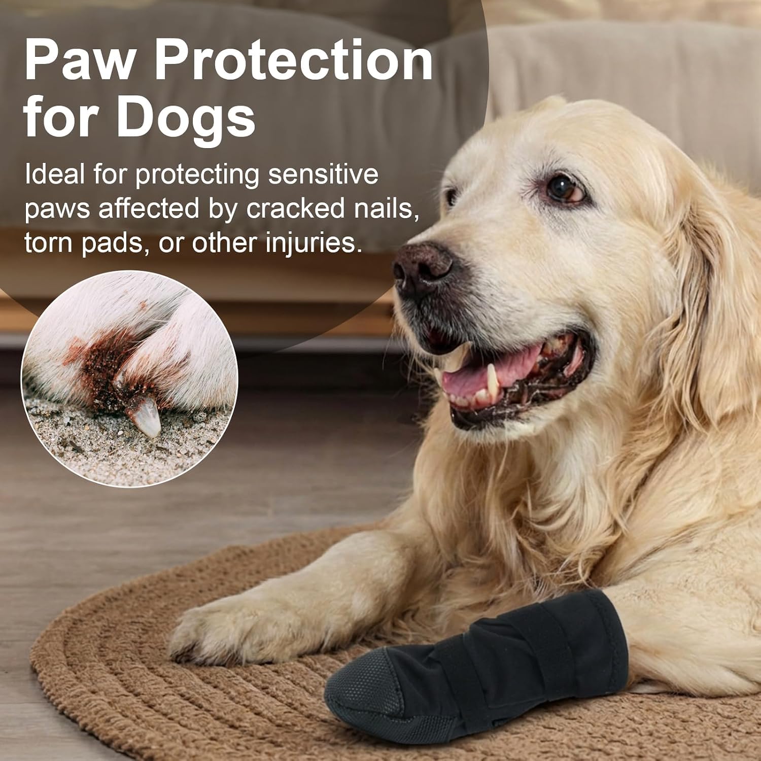 Dog wearing Ikipuko wound recovery boot on trail