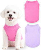 2 Pieces Dog Clothes for Small Dogs Girl Boy Chihuahua Clothes Summer Puppy Soft Dog Shirt Solid Color Pet Clothing Cute Cat Cloth, XXS,Green,Blue - Image 12