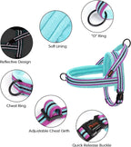 Didog dog harness padding interior detail
