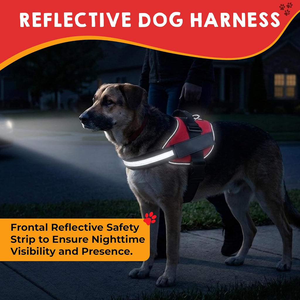 Pelto working dog accessory set including metal id tag with rugged collar clip.