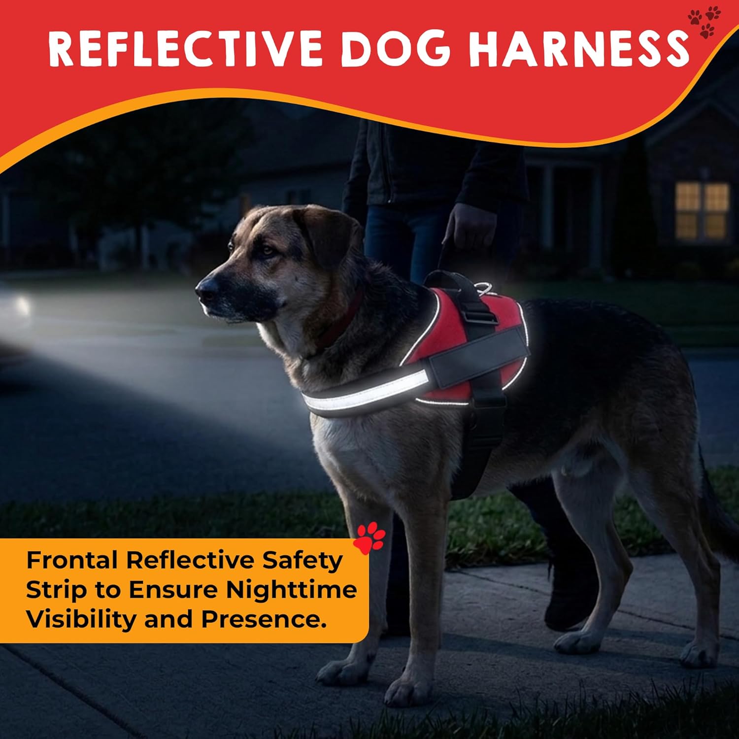 Pelto working dog accessory set including metal id tag with rugged collar clip.