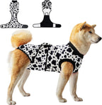 A comfortable dog resting peacefully while wearing the V.PET.B.R dinosaur pattern recovery garment