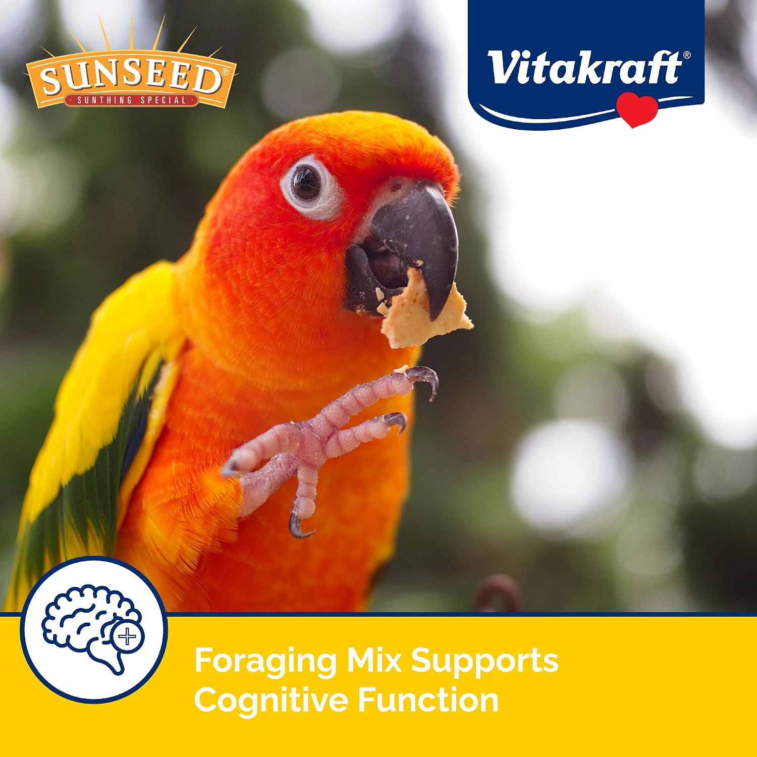Sunseed Vita Prima Conure Food - Nutrient-Rich Blend with Fruits, Vegetables & Seeds Supports Healthy Feathers, Eyes & Active Energy - 3 lb Bag - Image 4