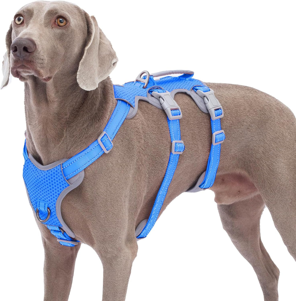Authentic Huntboo imported safe outdoor dog training gear