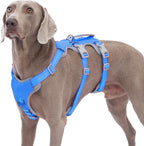 Authentic Huntboo imported safe outdoor dog training gear