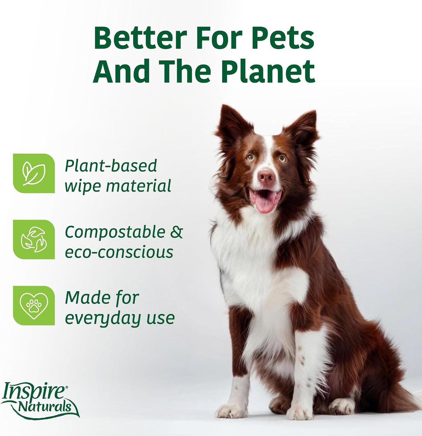 Premium USA imported gentle aloe vera cat wipes for daily cleaning.