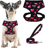 PUPTECK Soft Mesh Dog Harness Small Sized and Leash Set Pet Puppy Cat Comfort Padded Vest No Pull Harnesses, Beige, S - Image 11