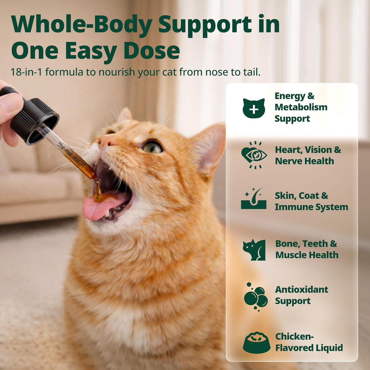 Authentic Jazzy Fuzzy daily feline immune and coat supplement bottle