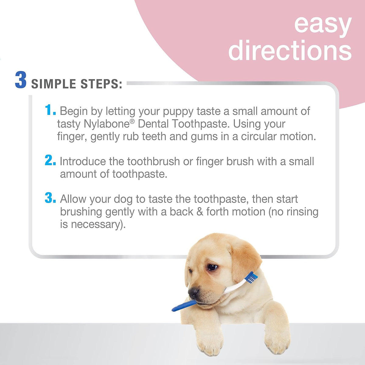 Nylabone original formula puppy toothpaste tube closeup