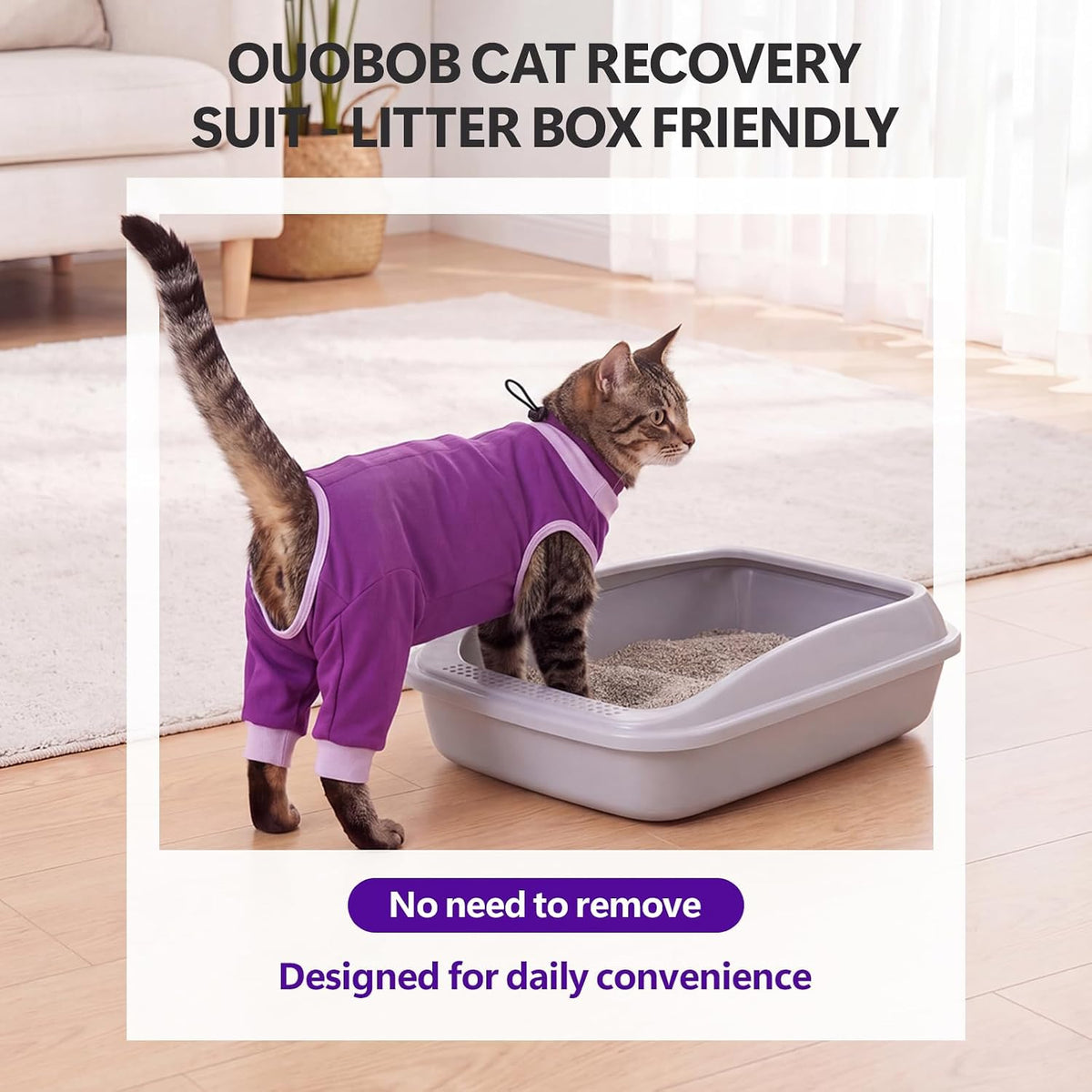 Cat comfortably resting while wearing purple recovery garment