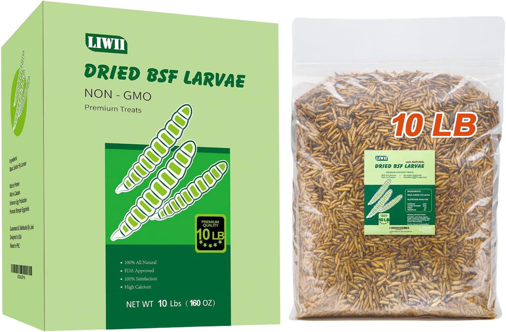 Dried insect supplement ready for feeding time