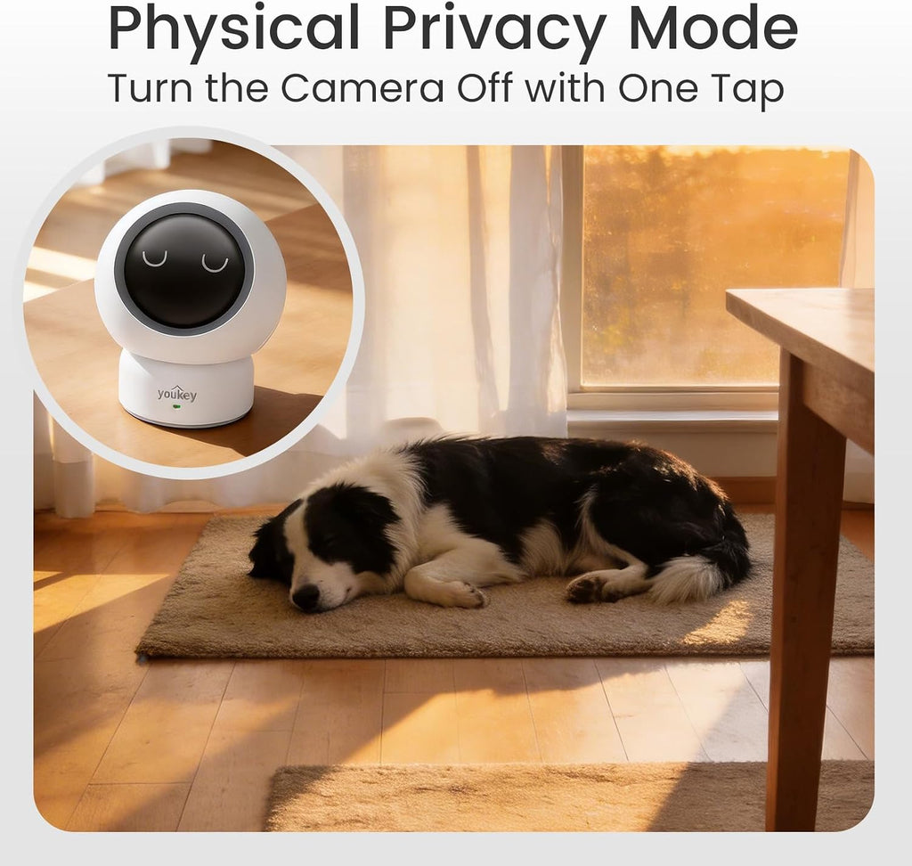 Youkey P310 camera night vision mode demonstration