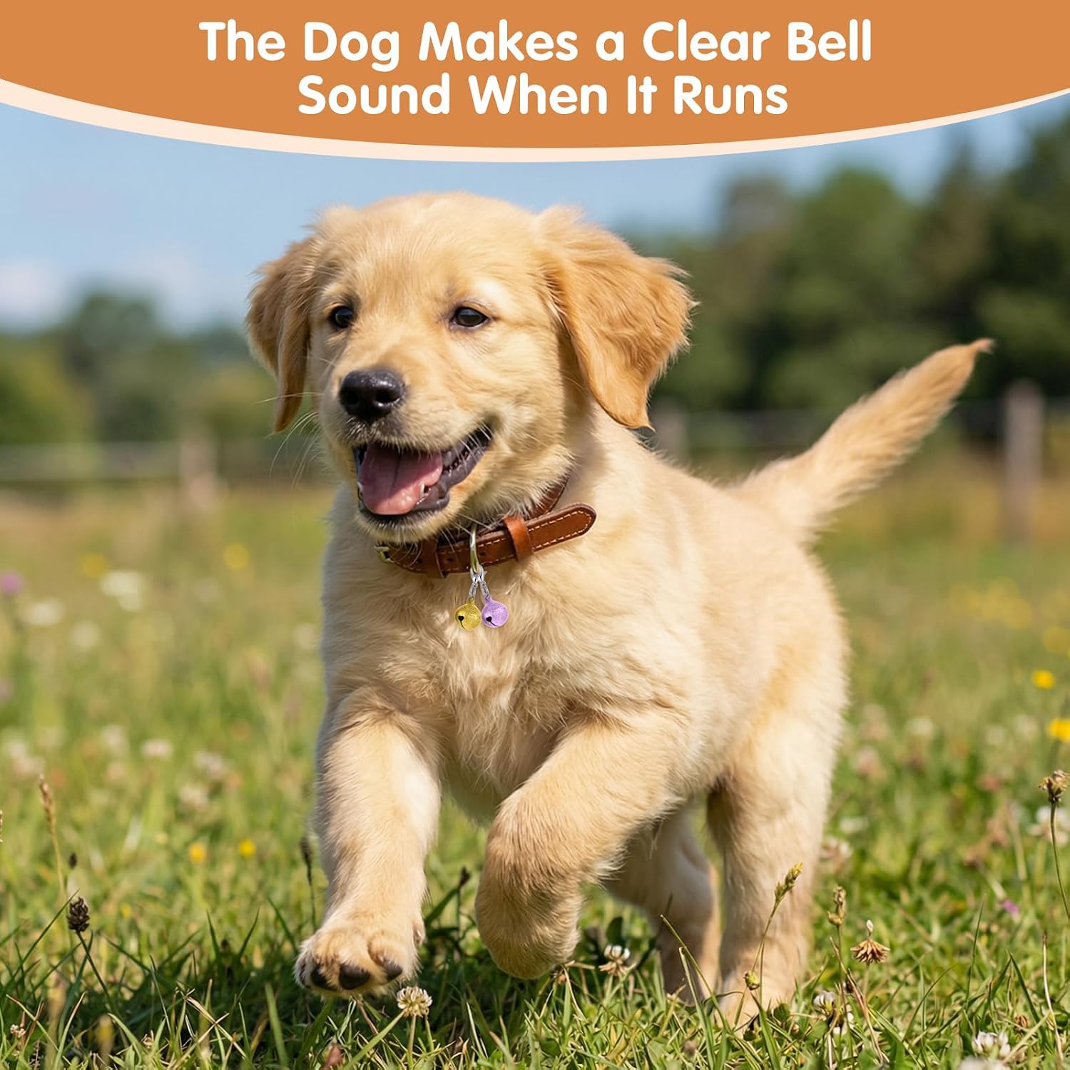 Ten pieces of multi color Exclaith pet charms spread out to display the variety of shades.