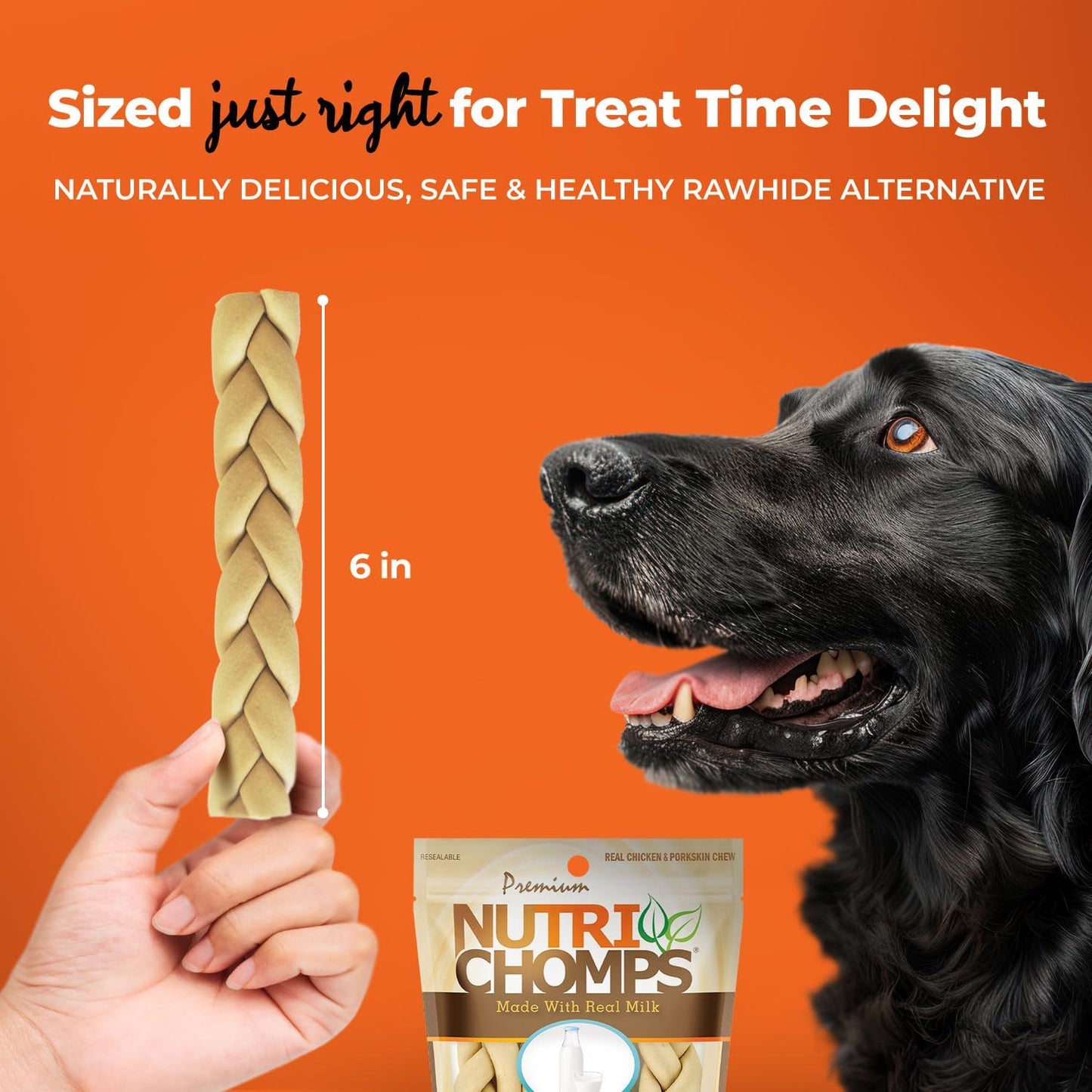 Easy to digest NutriChomps premium dog chews isolated on a clean background