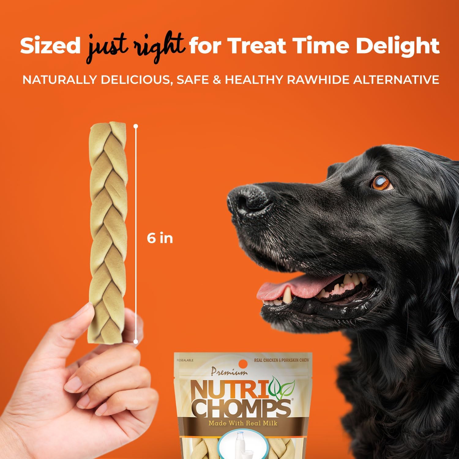 Easy to digest NutriChomps premium dog chews isolated on a clean background