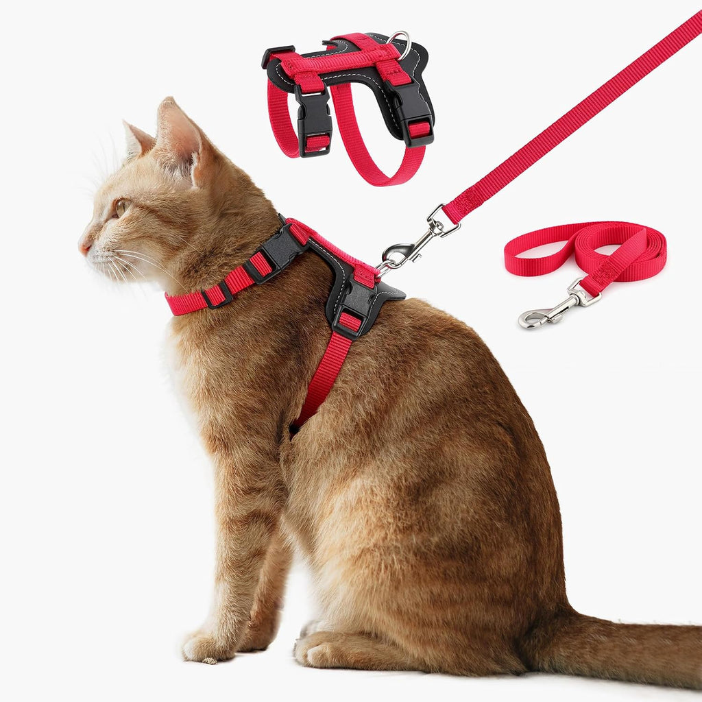 USA imported premium cat harness leash set for outdoor adventure