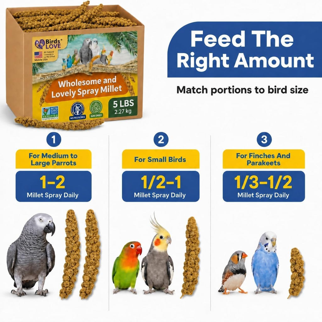 Birds LOVE premium USA grown bird food product display