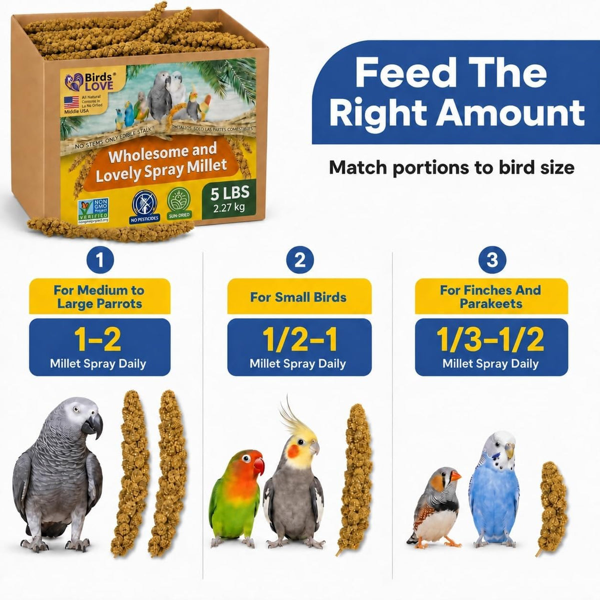 Birds LOVE premium USA grown bird food product display