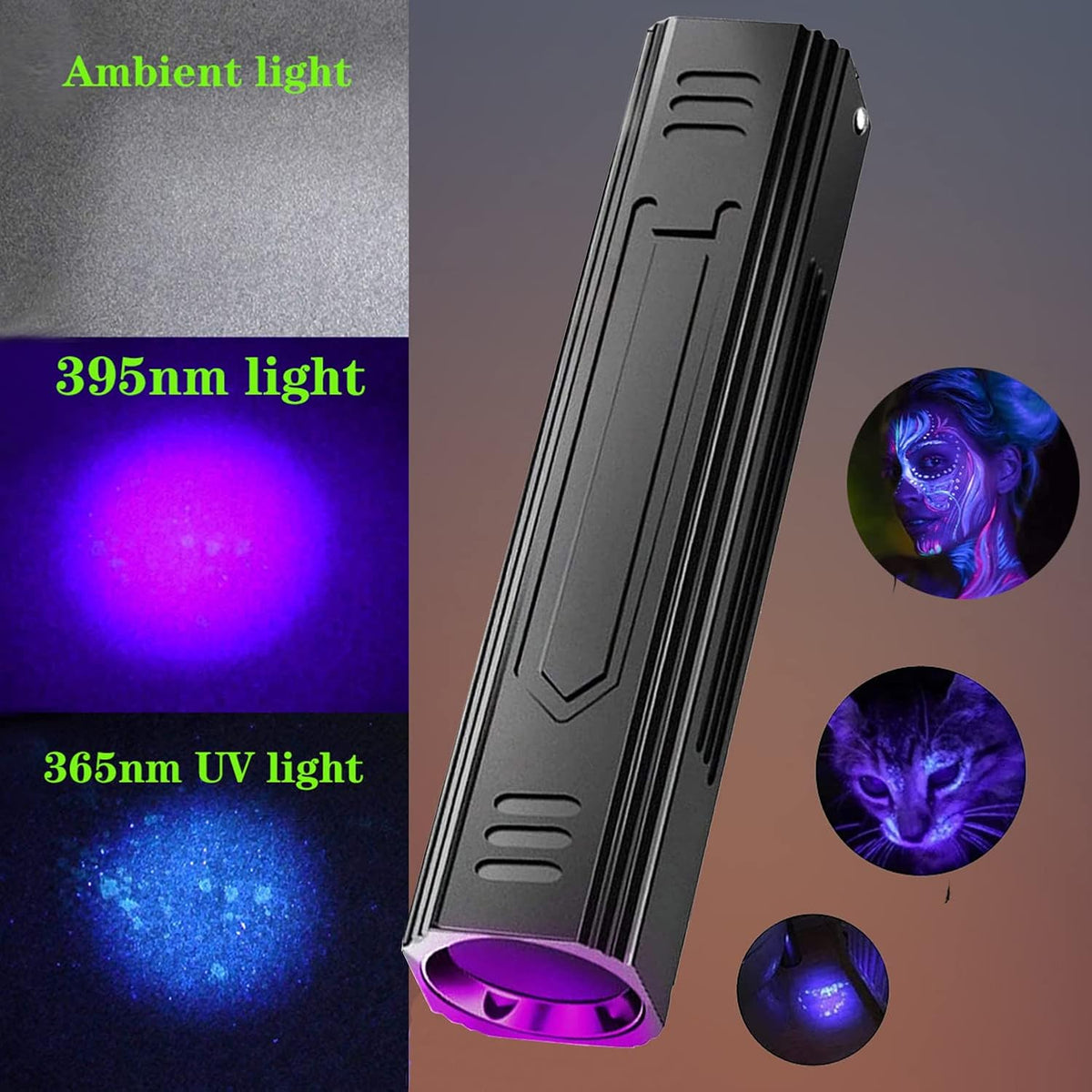 Denlydom pet black light detector being used to locate hidden dried urine stains on a living room carpet.