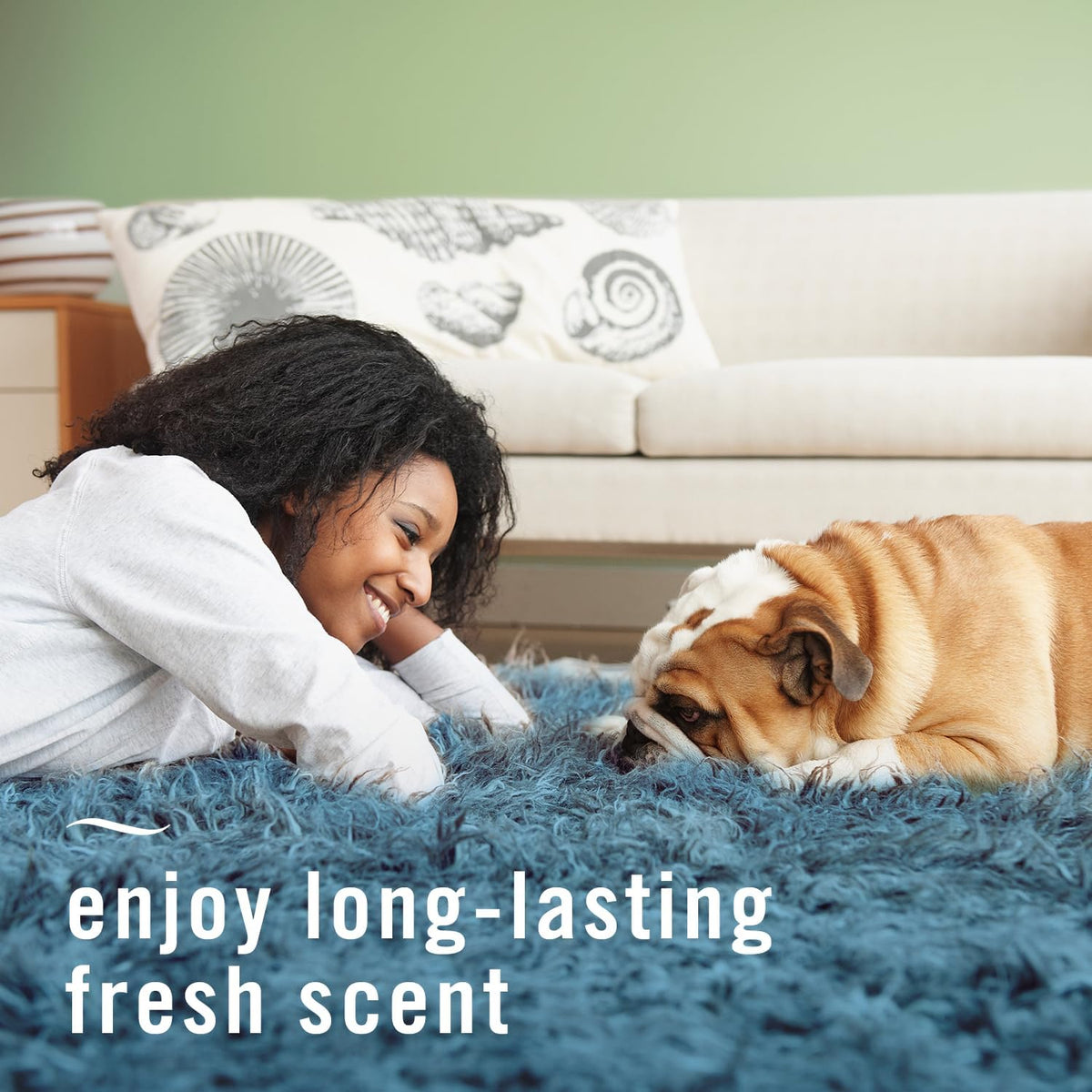 Spraying fabric refresher on a pet bed surface