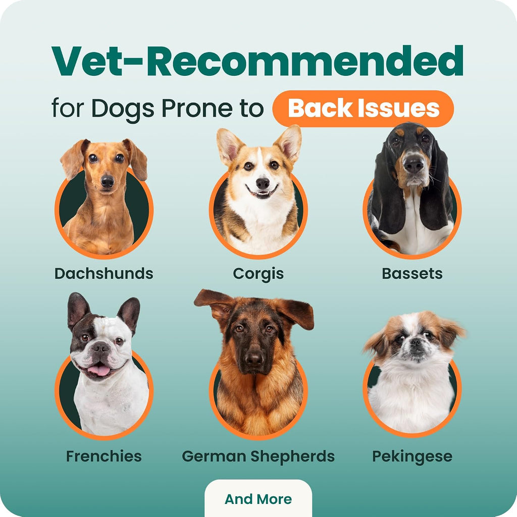 VetriScience 180 count bottle ready for daily canine care