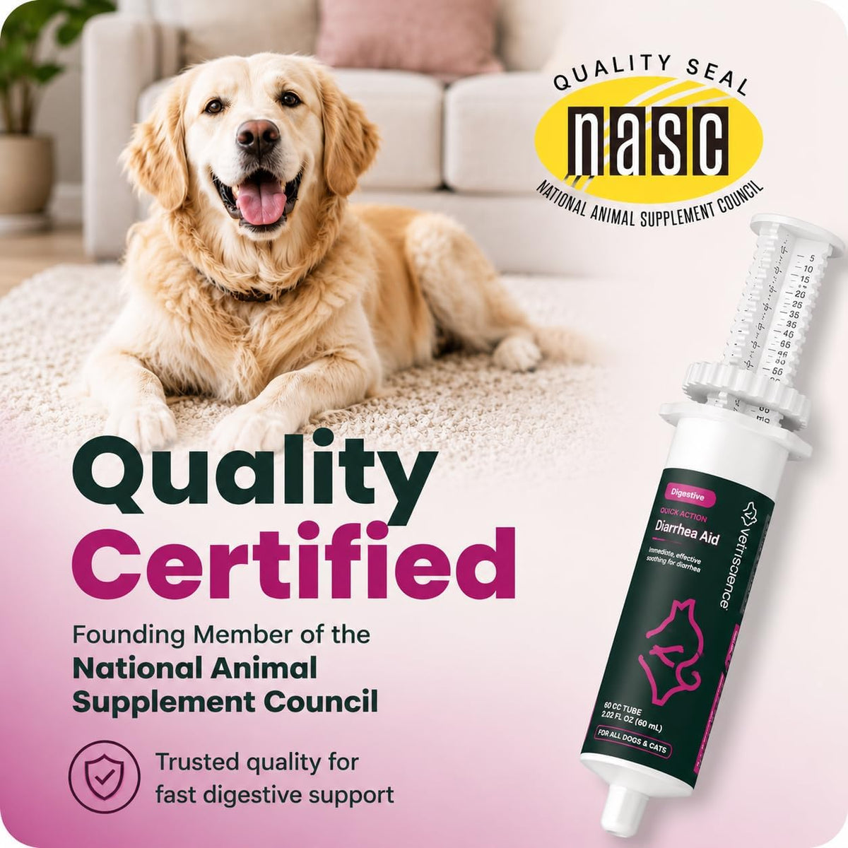VetriScience Fast Balance G.I. paste for cats and dogs