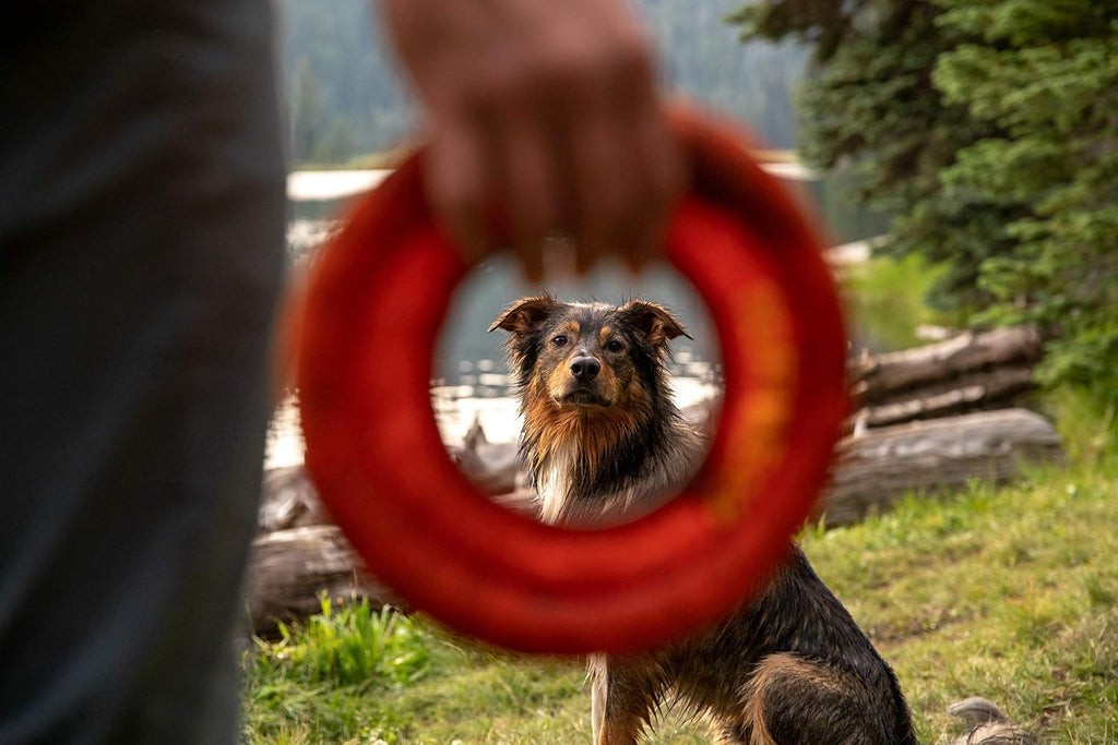 Ruffwear branded packaging and product display