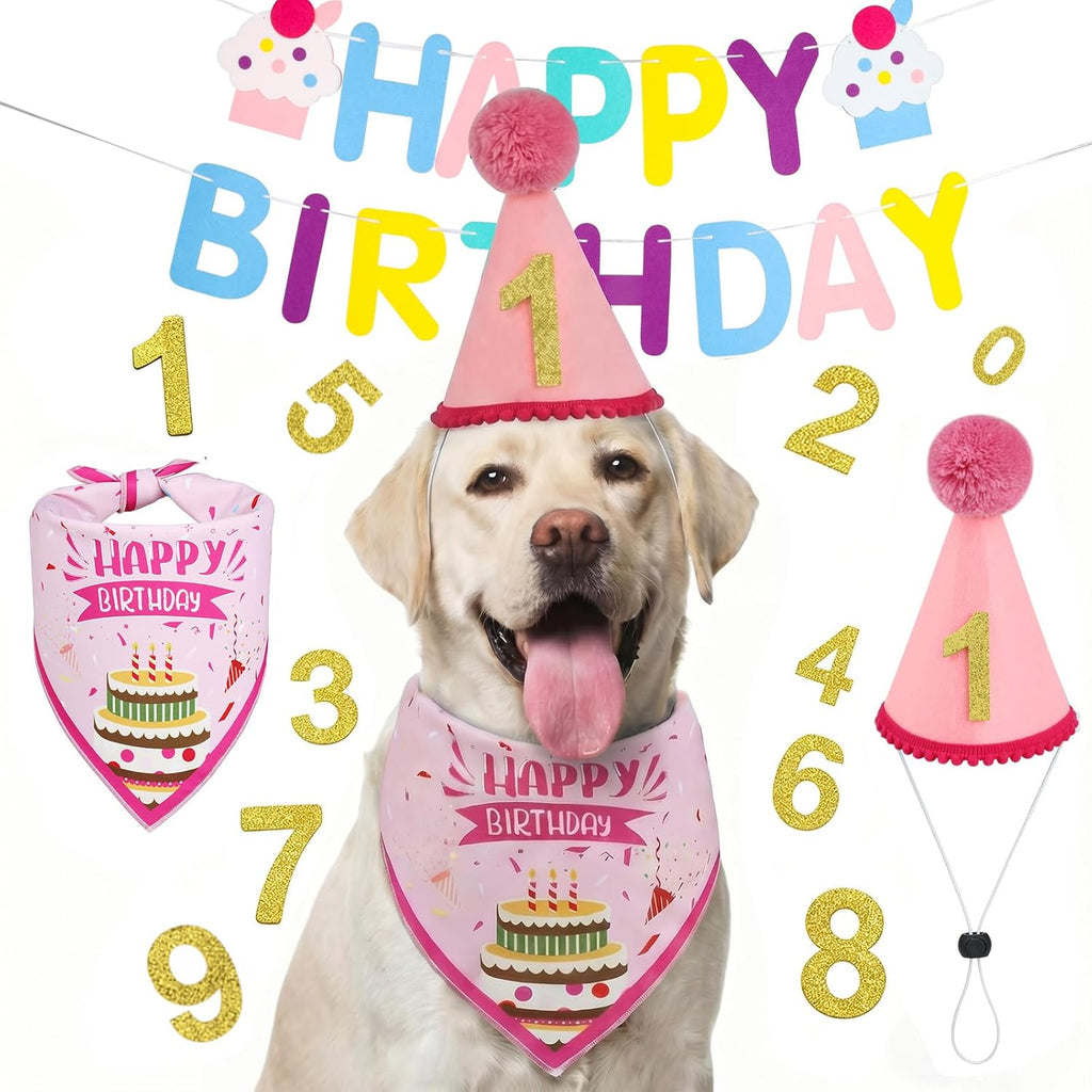 Supet Dog Birthday Decorations for Small & Large Dogs, Dog Boy Girl Birthday Kit with Party Hat | Happy Birthday Banner & Bandana, 1st Birthday Party Set, Pet Birthday Party Supplies (Blue, S) - Image 9