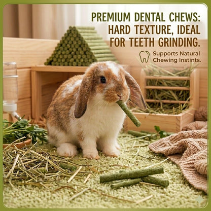 Natural organic hay snacks arranged neatly to demonstrate the consistent size and high quality processing of the sticks.