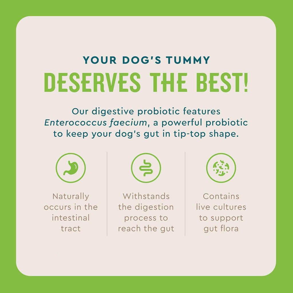 Live Enterococcus faecium probiotic powder for dog diarrhea relief