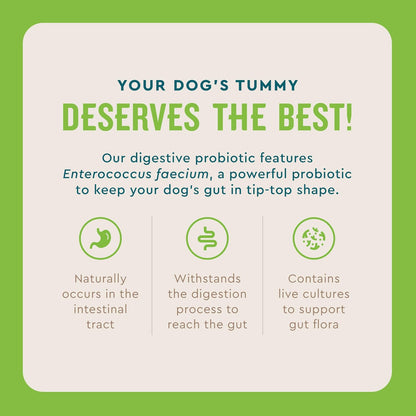 Live Enterococcus faecium probiotic powder for dog diarrhea relief