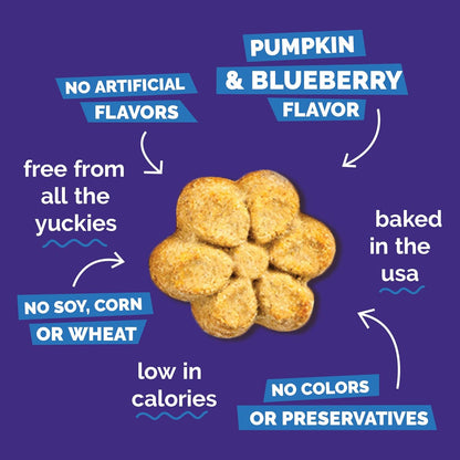 Fruitables twelve ounce imported premium pumpkin and blueberry dog biscuits packaging