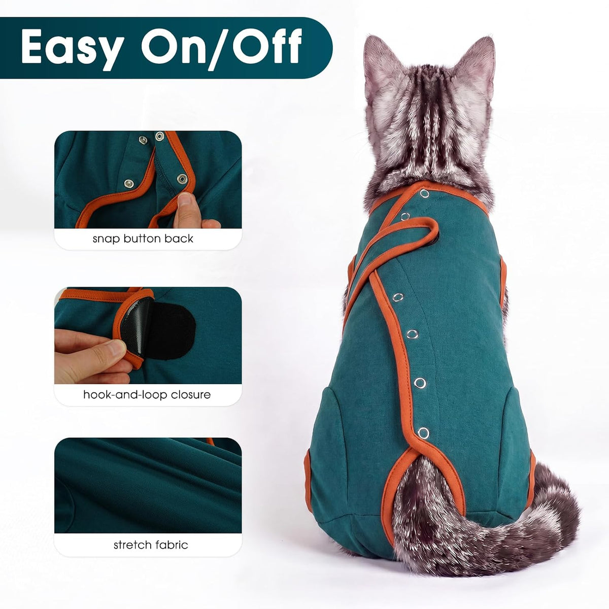 Cat wearing post-op recovery onesie for abdominal wound protection