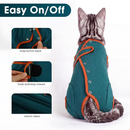 Cat wearing post-op recovery onesie for abdominal wound protection