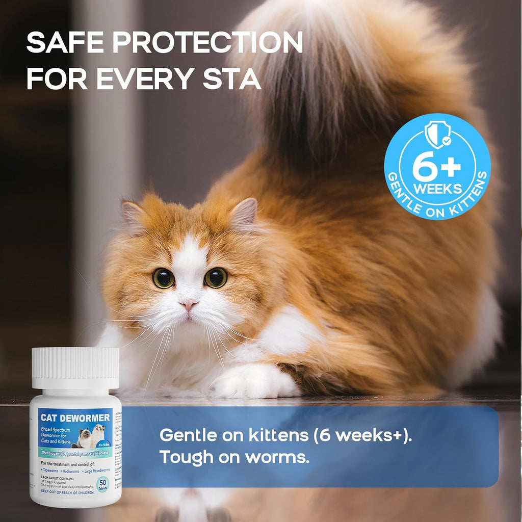 Bottom view of Morvequa cat dewormer bottle showing manufacturing details and import security seals
