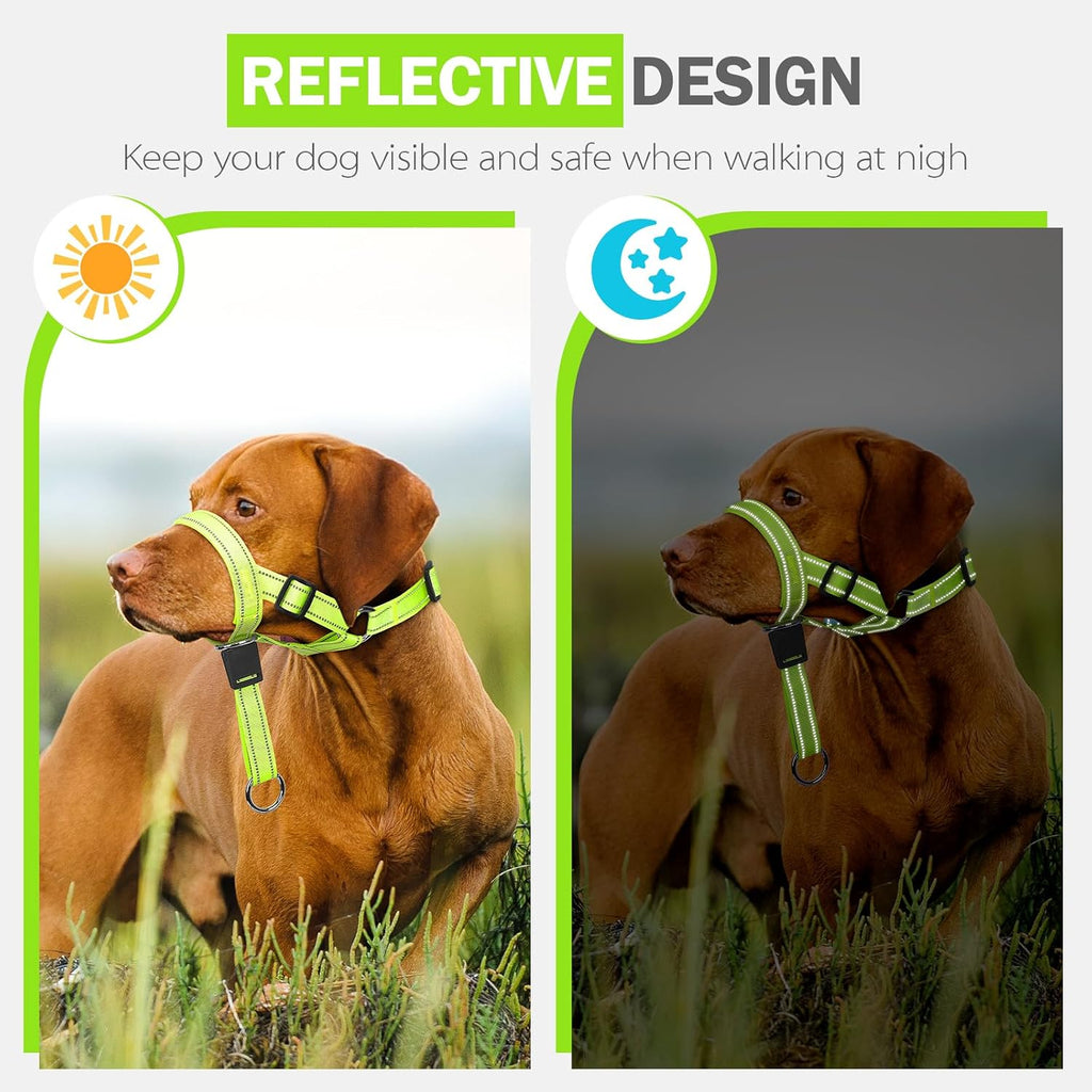 Humane dog training halter connected to standard collar attachment