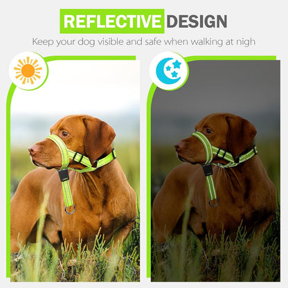 Humane dog training halter connected to standard collar attachment