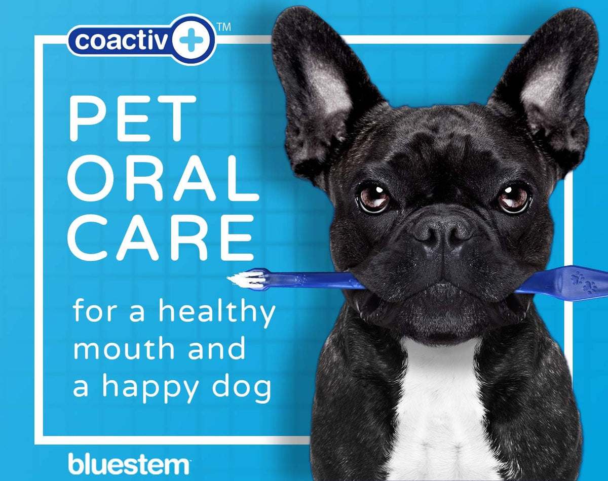 Bluestem pet toothpaste tube showing coactiv plus technology