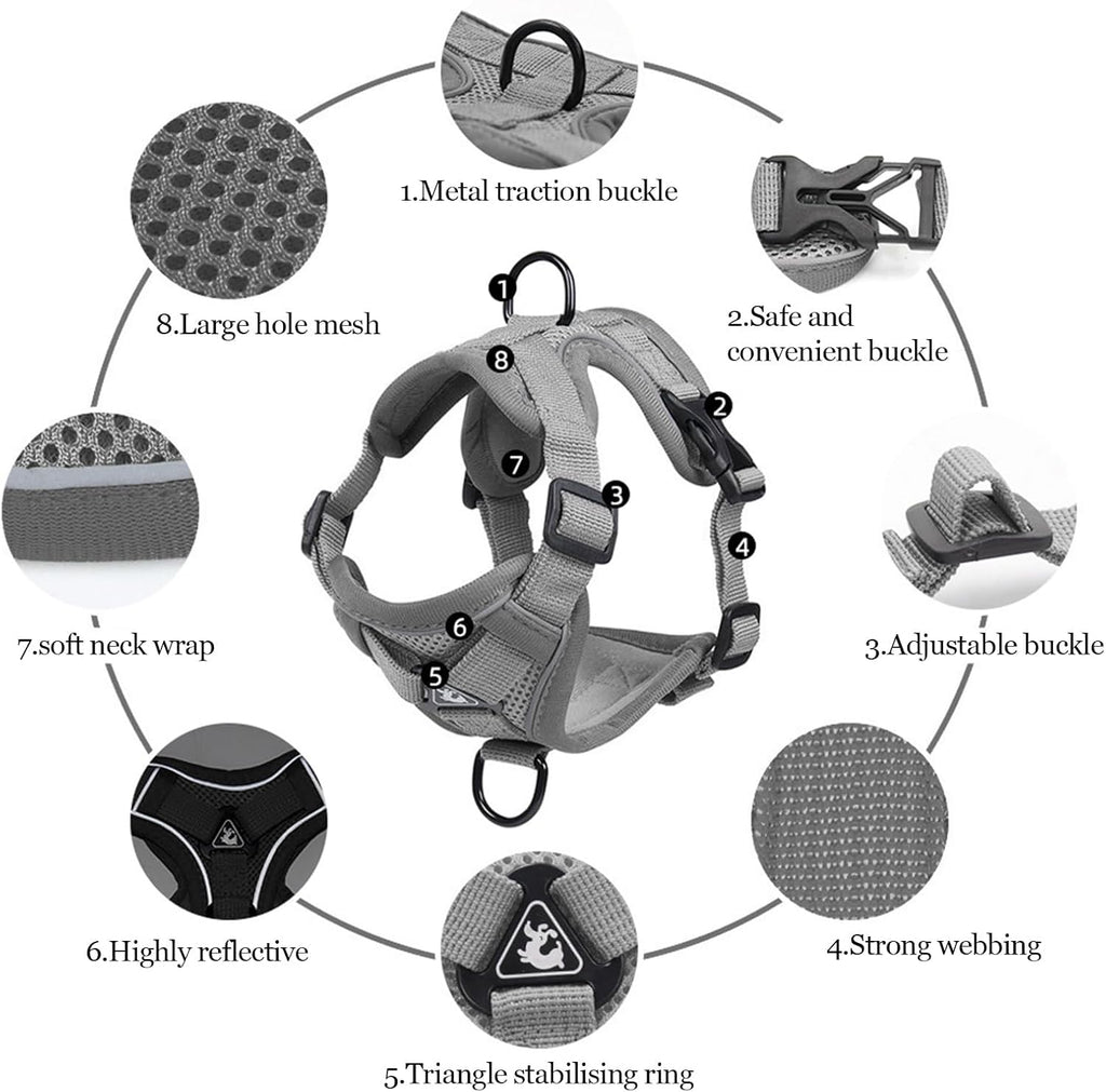 Wanheart premium reflective cat walking harness set in dark lighting