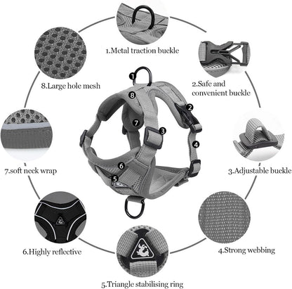 Wanheart premium reflective cat walking harness set in dark lighting