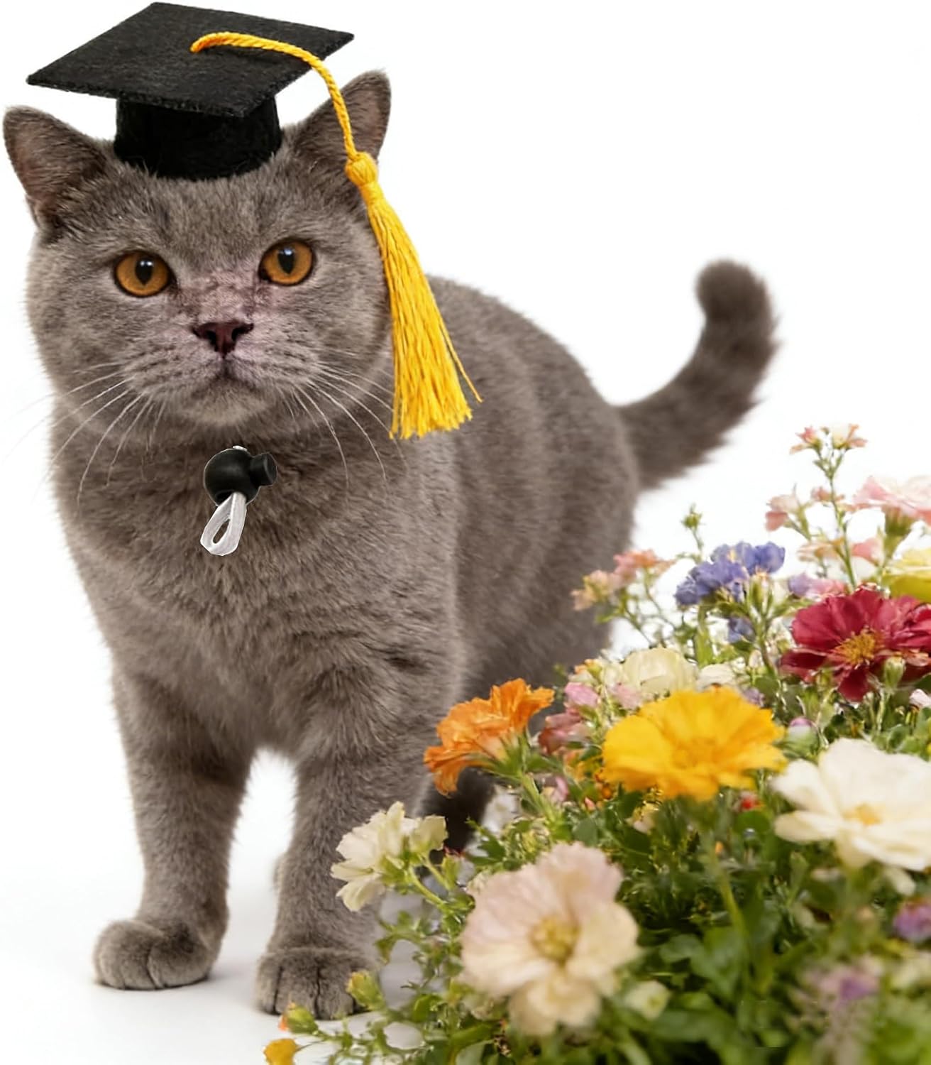 Soochat small animal costume prop for festive holiday and graduation photography