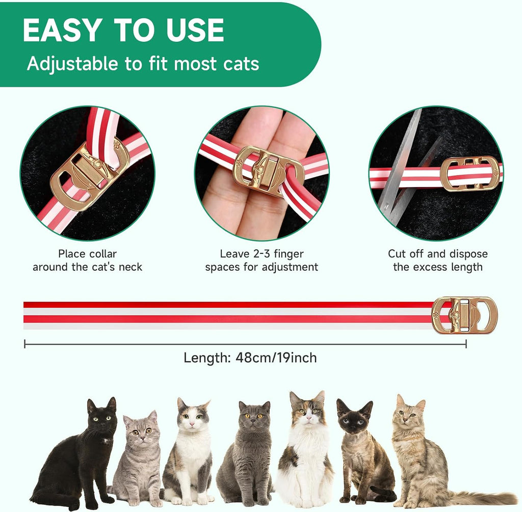 Cat wearing comfortable waterproof flea and tick collar
