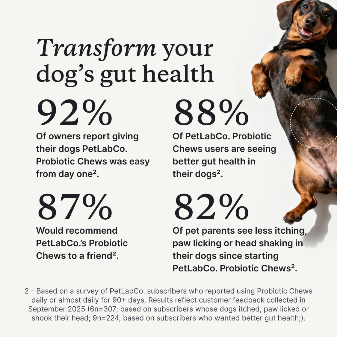 PetLab Co. dog digestive supplement chews displaying active ingredients and tribiotic blend.